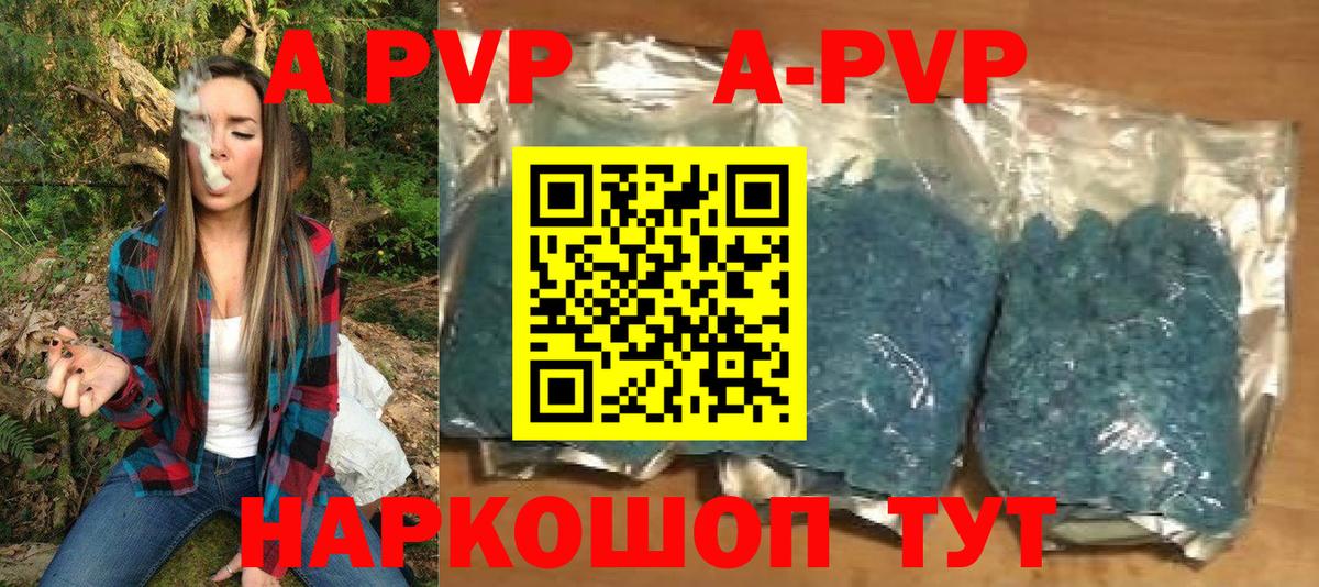 А ПВП СК КРИС Сальск