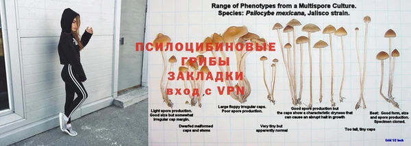 трава Мегион