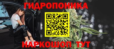 PSILOCYBIN Абакан