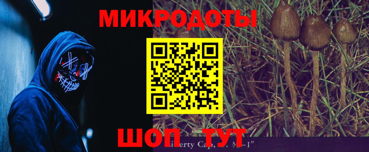 Сальск  Галлюциногенные грибы Magic Shrooms  закладка  Вход с VPN  Галлюциногенные грибы мицелий 