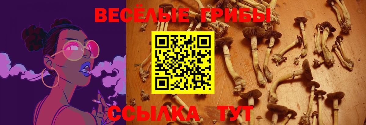 Псилоцибиновые грибы MAGIC MUSHROOMS Сальск