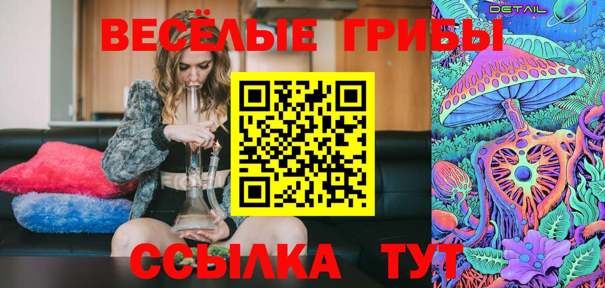 Галлюциногенные грибы Psilocybine cubensis Сальск