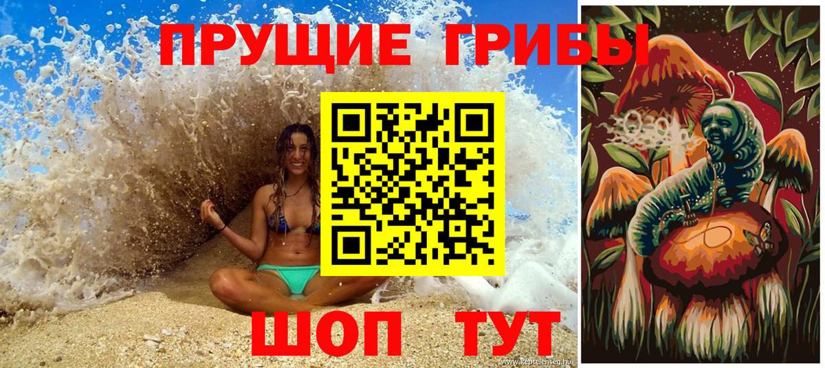 Сальск  Галлюциногенные грибы GOLDEN TEACHER  Вход с VPN 