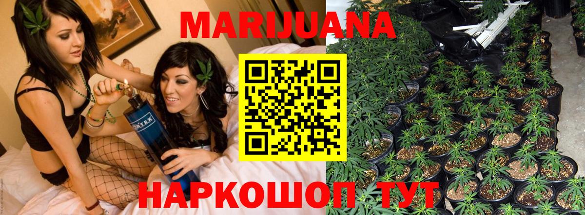 Бошки Шишки конопля  Каннабис индика  Канабис сатива  Сальск  Вход с VPN 